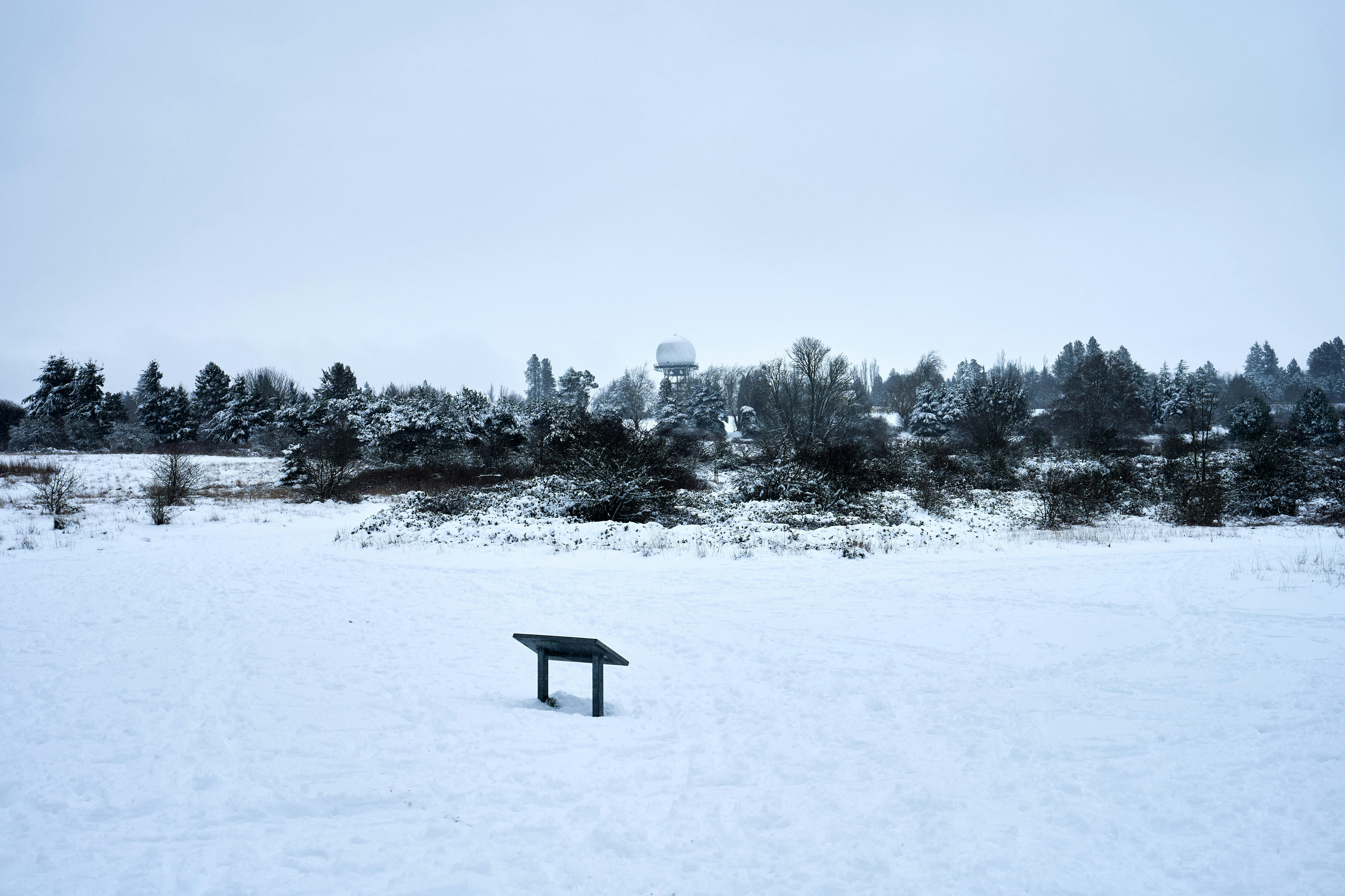 black wooden bench on snow covered ground during daytime